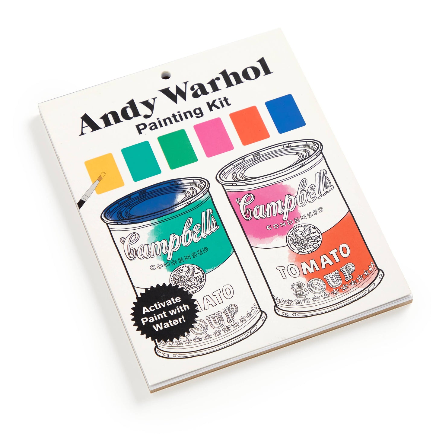 Andy Warhol Painting Kit