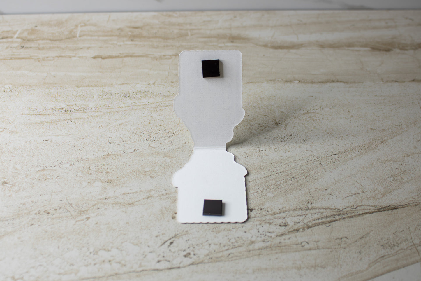 Bookshelf Frame Magnetic Bookmark