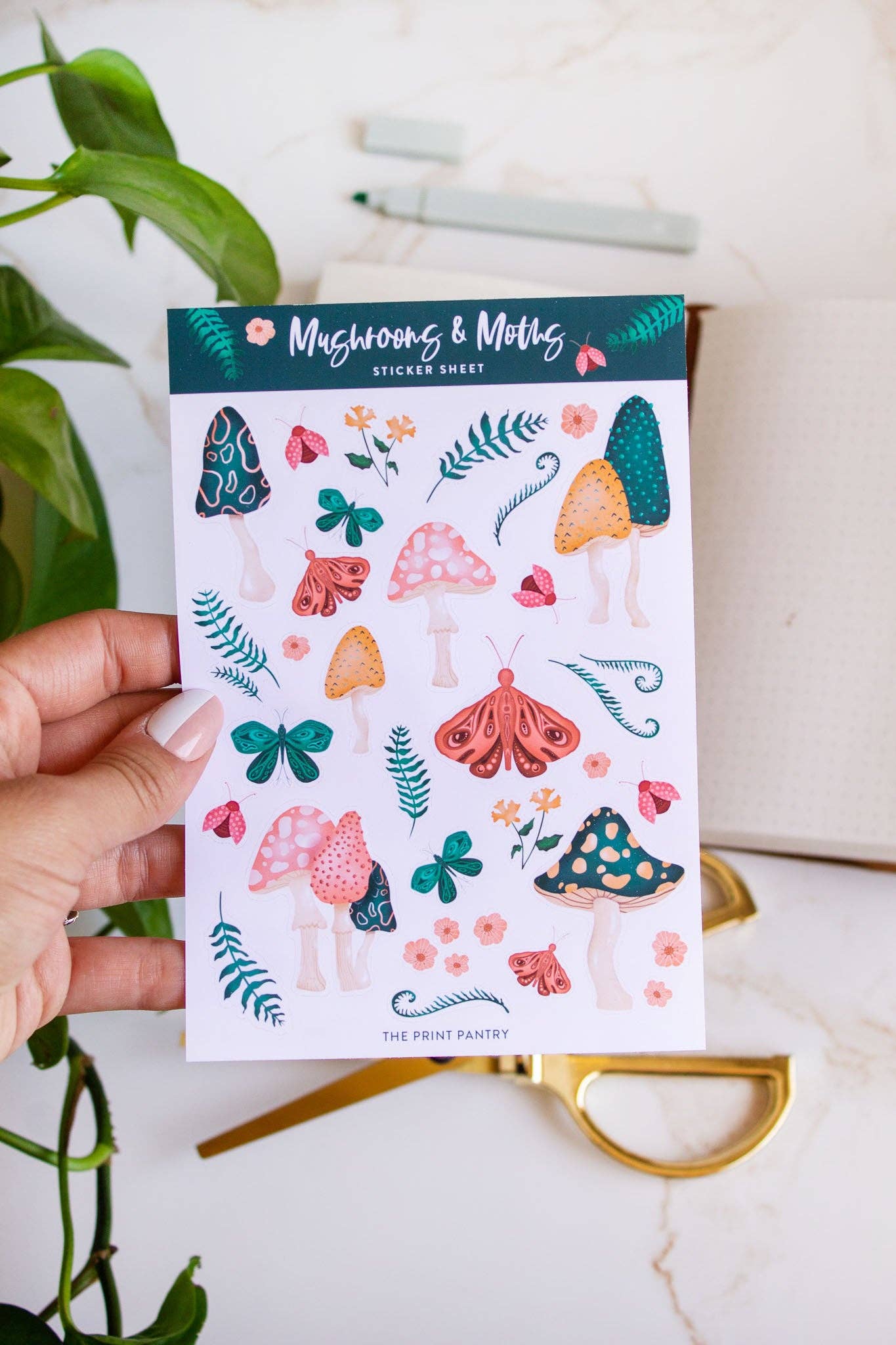 Mushrooms & Moths Sticker Sheet